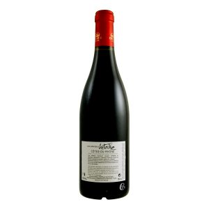 Investir vin pourquoi : Pourquoi investir dans le viticole ?